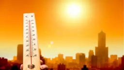 Heat wave: IMD issues red alert across North India for next 5 days